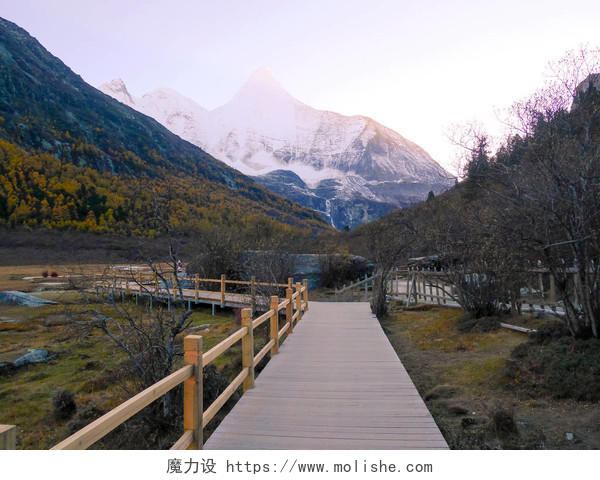 中国四川雅丁自然保护区四川旅游·